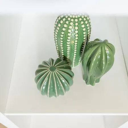 Un Passo Dalla Torre Pisa